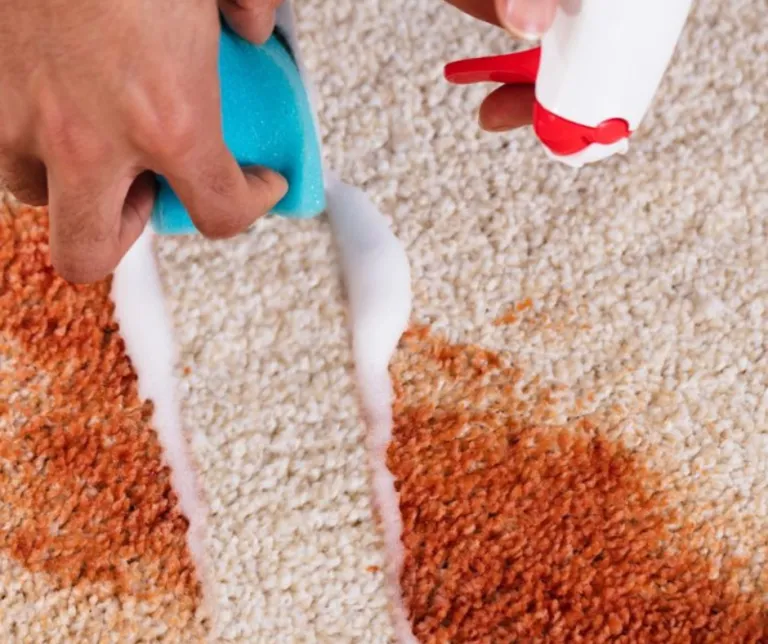 Cleaning spill on carpet