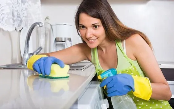 domestic cleaner busy